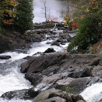 <a href='http://llwuxin.cn' target='_blank'>加拿大留學(xué)</a>